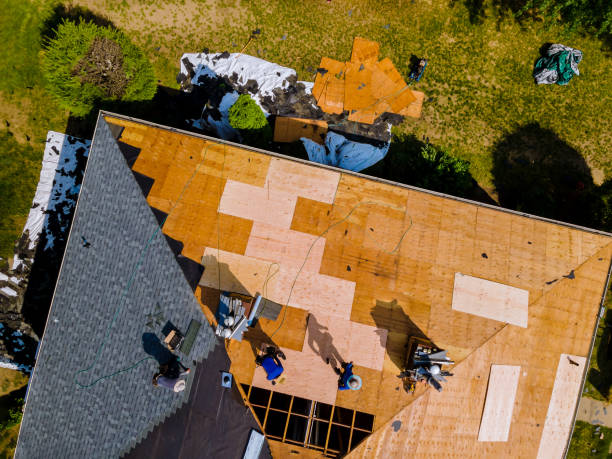 Best Storm Damage Roof Repair  in Bella Vista, AR